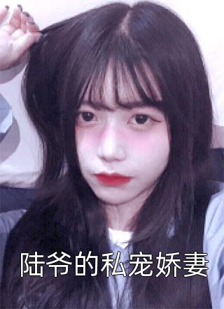 天价彩礼小说全文免费阅读