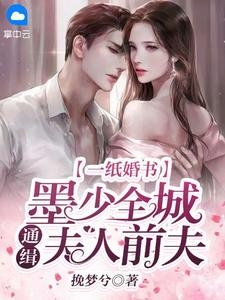 绝美女主播竟是我小姨陈梦瑶宋子杰完结版小说