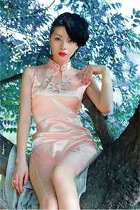 重生后，霸总不当舔狗了乔山林岚全章节小说