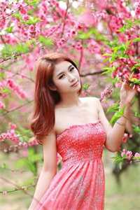 秦晓楚北辰的小说抚养多年的弃婴读完博士，亲妈就来认领了