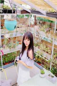 沈彤陈墨霸总未婚夫悔婚后，我嫁给京圈太子爷小说全文免费阅读