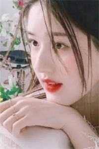 霸总心头宠：爱与偏见的交锋