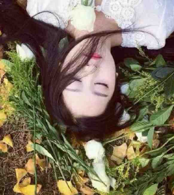 阮清莞裴行砚的小说再见，就是再也不见