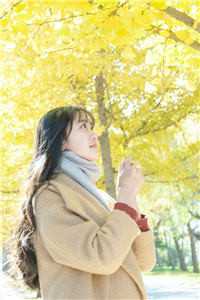 重返未来：金色闪光(维尔汀广闻)全文免费阅读无弹窗大结局_《重返未来：金色闪光》维尔汀广闻免费小说