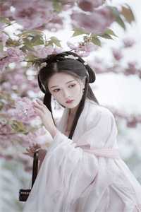 林悦心陆景琛的小说从此鲜花赠自己小说阅读