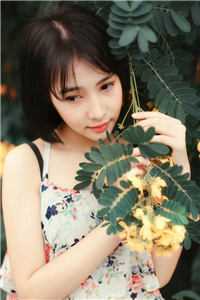 阿乐勒《陆云婉秦时谦写的小说爱不逢时应当断全文阅读》完结版阅读_(陆云婉秦时谦写的小说爱不逢时应当断全文阅读)全集阅读