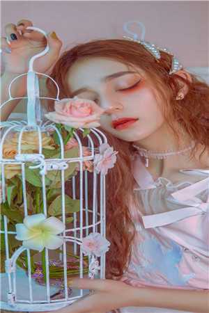 星星抱不住月亮by倪桑桑季晏礼