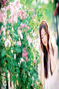 太子退婚娶孤女后，悔疯了元安沈云锦 全集