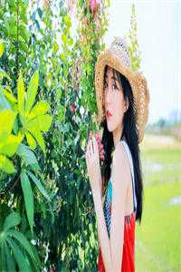 塑料姐妹花，离婚丧偶不分家前文 后续