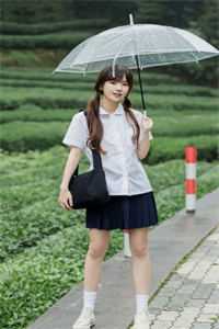 封后大典上，白月光她杀疯了裴安顾北霄无删减全文