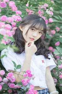 冲锋陷阵叶辰舒婉清结局 番外