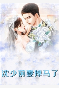 再无风雨再无你宋书意池邵前文 后续