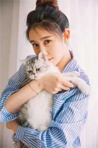 柳如烟陈平安的小说青云直上九万里