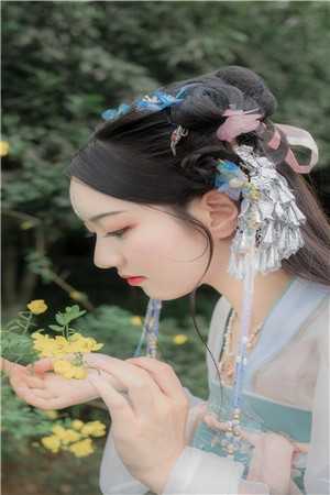 赵阳秦雨柔的小说官婿凶猛小说阅读