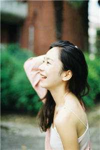 星河璀璨入梦来小说聂星晚陆哲明完结版