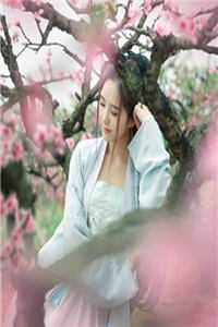柳如烟陈平安的小说村官桃花途小说阅读