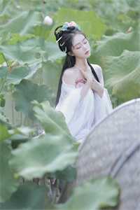 晏砚林潇的小说我死后，老公疯了小说阅读