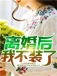 又是棠辞枝雪时傅淮安宋棠全章节免费阅读