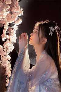 顾言季昭澜写的小说风起相思散无踪全文阅读