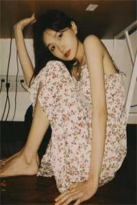 爱如雾里看花裴寂野沈知霜全章节小说