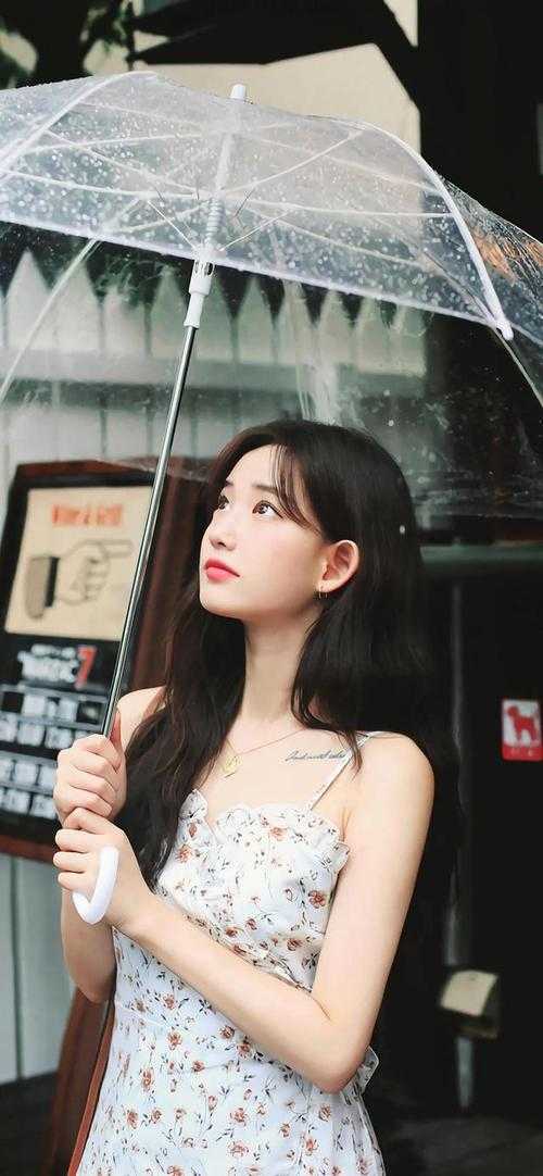 官婿凶猛完结版小说赵阳秦雨柔