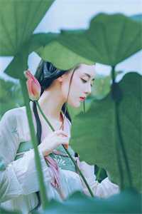 黎笙傅辰写的小说荒年不逢时全文阅读
