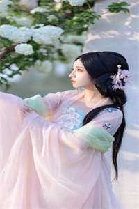 手撕偷我和儿子身份的管家父子完结文