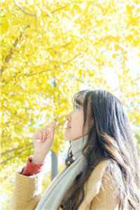 白芷裴怀钰