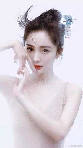 傅庭州苏枝夏