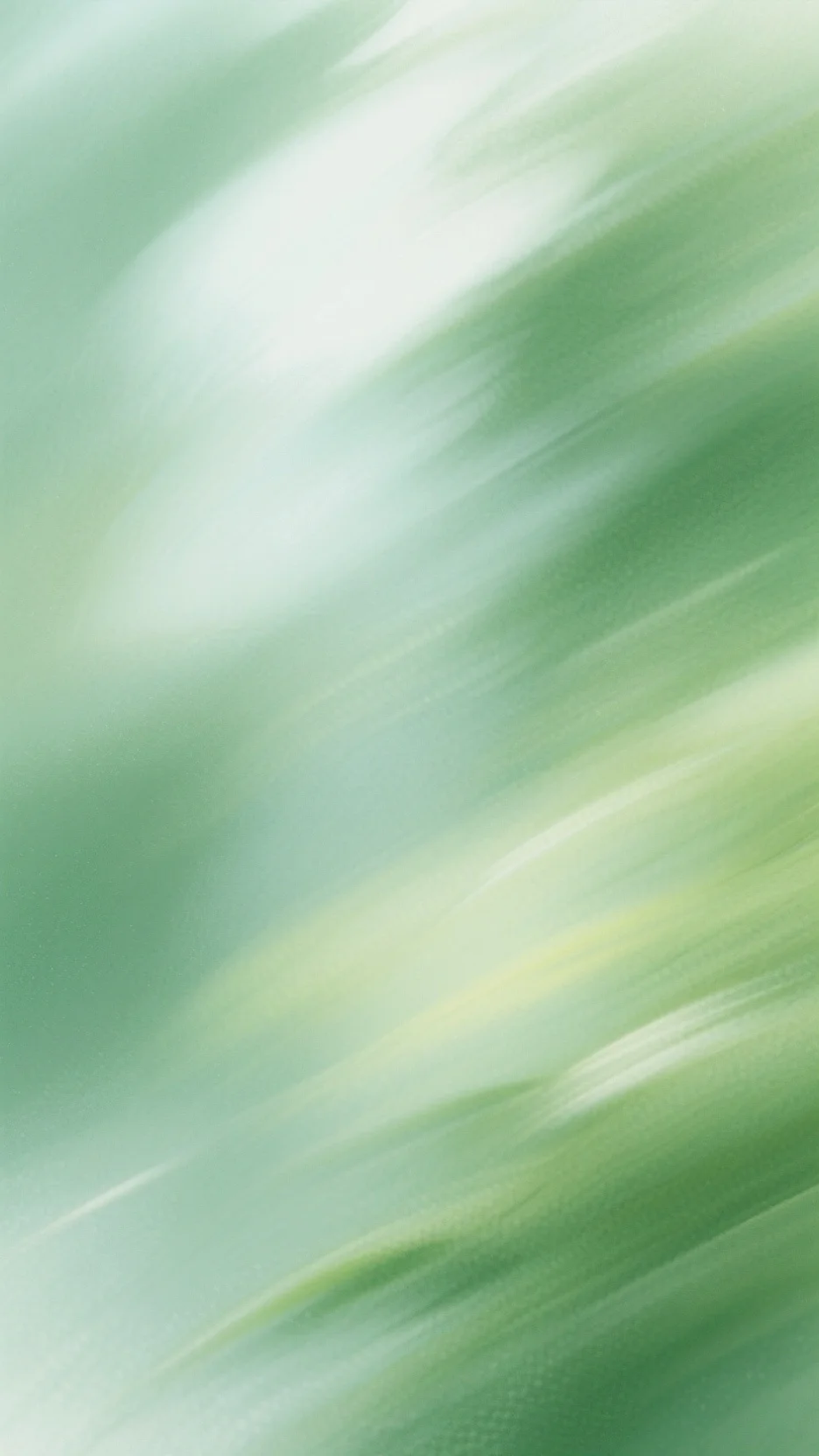 沉栀向满