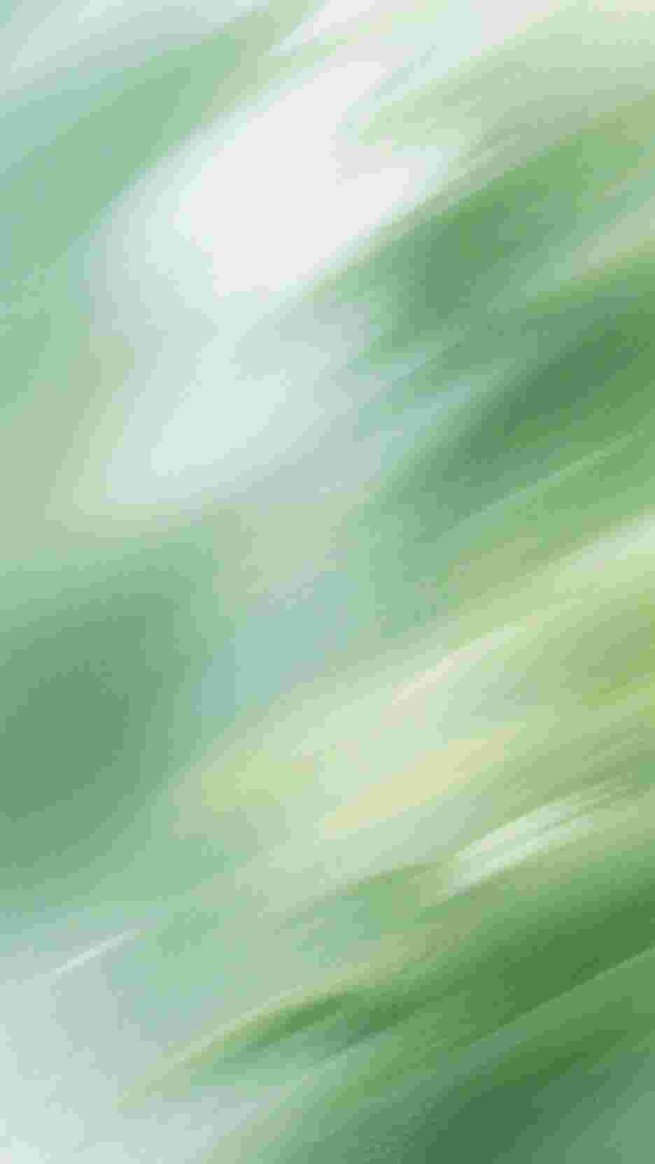 朝露入海亦盼归